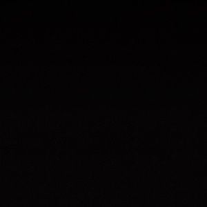 Meet your Posher, Ronnie